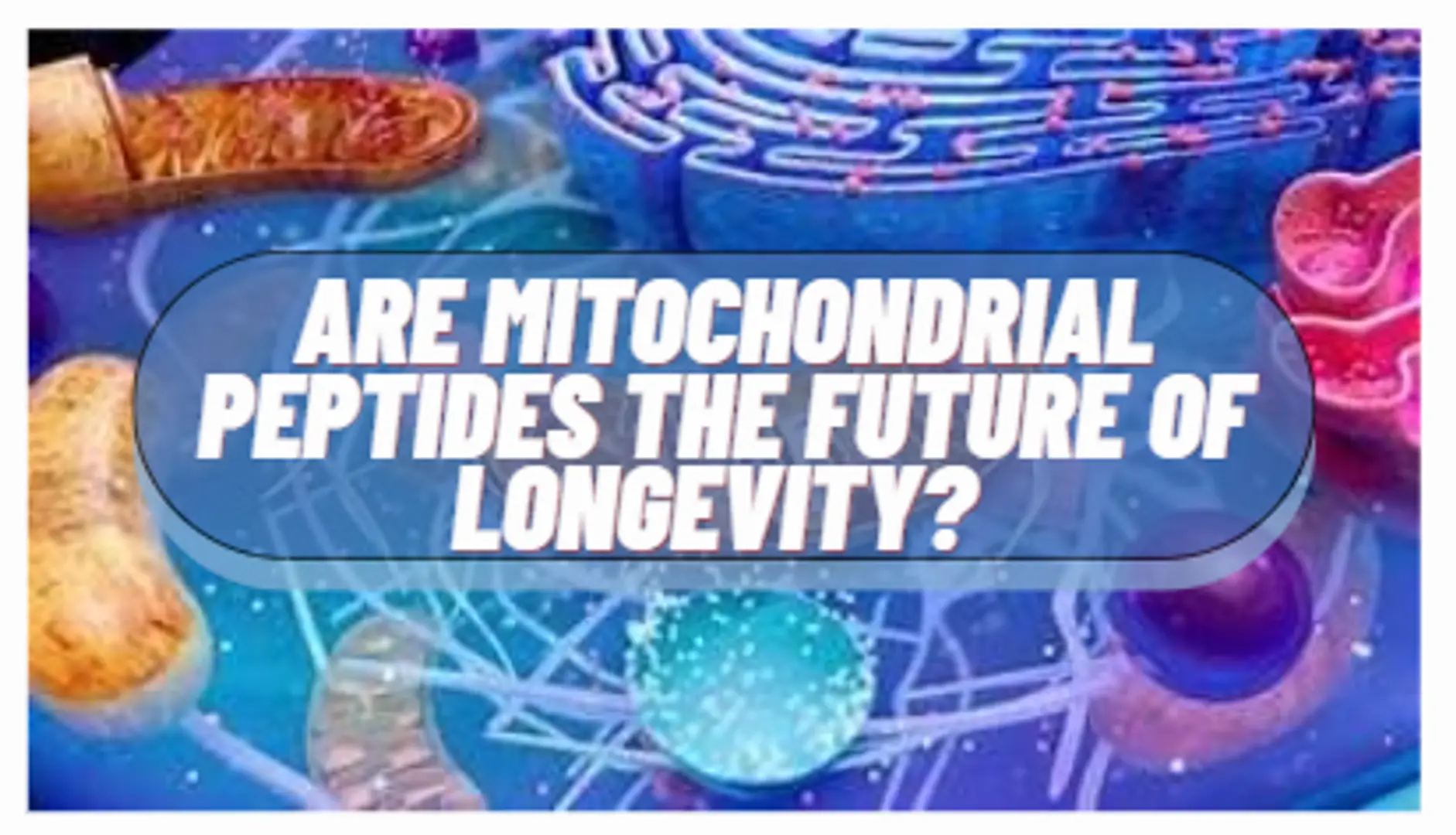 6932d0f7be6f7e1e7068289d